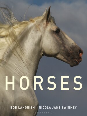 Horses - ebook
